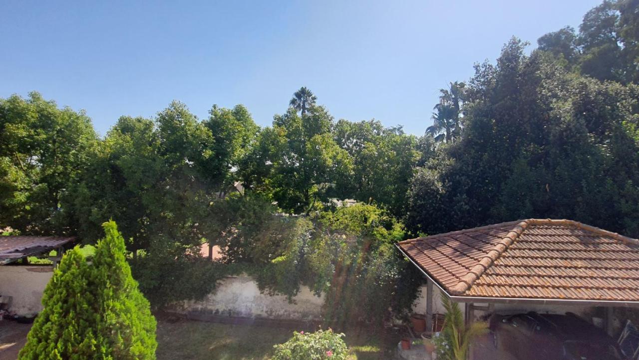 B&B Tenuta Di Vado Piano Nella Selva Di Circe Cerasella Exterior foto